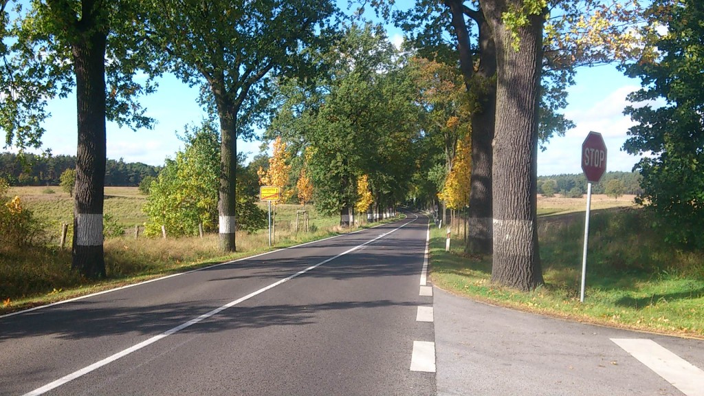 Brandenburger Allee